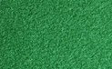 Gorina Snooker Liberty